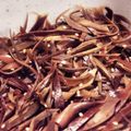 くまぴこ222's cooksnap of when they made 捨てないで！茄子の皮レンチンきんぴら.
