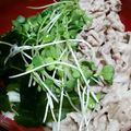 ろーまま's cooksnap of when they made 茹でて混ぜるだけ！冷しゃぶうどん.