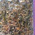 nekonain's cooksnap of when they made ゴーヤ消費★簡単＠ゴーヤの佃煮.