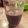 cookh10's cooksnap of when they made ブルーベリー&バナナのスムージー.