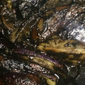 ☆さとぴょんのママ☆'s cooksnap of when they made なすの黒ゴマあえ♪簡単！作り置きおかず.