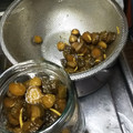 クックD1C0VN☆'s cooksnap of when they made きゅうりのキューちゃん風な佃煮.