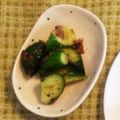 クック7ZHU6C☆'s cooksnap of when they made 居酒屋再現メニュー♡ピリ辛おかかキュウリ.
