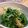 MEGuREEN's cooksnap of when they made おかひじきと油揚げの生姜ポン酢和え.