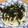 リキ大好き's cooksnap of when they made コストコ行ったら！プルコギ丼.