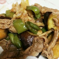 のーてんきママ's cooksnap of when they made ナスとピーマンと豚肉の焼き肉のタレ炒め.