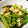mayumanish's cooksnap of when they made 冷やしても美味しい♪小松菜の煮びたし.
