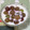 おはなすき's cooksnap of when they made 巨峰のヨーグルト和え.