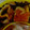 ☆miffy☆彡's cooksnap of when they made わが家の甘い玉子焼き.