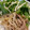 新米料理人さっすぃー's cooksnap of when they made 豚こま肉ともやしの炒め物.