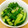 max4995's cooksnap of when they made 白ダシで☆キュウリとミョウガの簡単漬物.