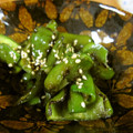 低カロ探検隊's cooksnap of when they made 万願寺とうがらしの甘辛炒め.