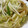 低カロ探検隊's cooksnap of when they made 簡単！焼き麩の炒め物♡.