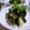 りーたみ's cooksnap of when they made 海藻食べよう！わかめなめたけおろし.