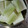やまひろたい☆'s cooksnap of when they made 冬瓜の下処理方法.