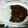 SWEET☆りんご's cooksnap of when they made 缶詰で☆簡単本格バターチキンカレー.