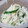 ひろみたん☆'s cooksnap of when they made 簡単！大根とホタテのシソサラダ.