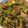 クックRJJ7XY☆'s cooksnap of when they made 超簡単蕪の葉のオイスターソース炒め。.