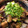 クックJZ81BF☆'s cooksnap of when they made ナスと豚の南蛮炒め☆.