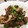 クックJSQBSV☆'s cooksnap of when they made ピーマンと豚肉の中華炒め.