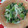 たれプゥ's cooksnap of when they made 小松菜とカニカマのごまマヨネーズあえ.