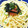 かずは☆彡's cooksnap of when they made 簡単♪明太子の和風パスタ.