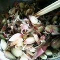 ようちかたま's cooksnap of when they made 簡単すぎ！茗荷のナムル.