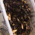 さくらん餅's cooksnap of when they made ゴーヤとひじきのごま炒め.