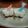 ハニー亭's cooksnap of when they made ミニチョコサンド.