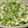 Rick_t's cooksnap of when they made 簡単！ねばねばオクラ(トッピング用).
