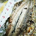 ユーロン's cooksnap of when they made 秋の味覚♪簡単なサンマの食べ方.