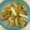 玉葱♪'s cooksnap of when they made 簡単！ネギのオイスターソース炒め 消費に.