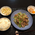 ai00170000's cooksnap of when they made 豚レタスぽん炒め.