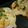 yamame6jp's cooksnap of when they made 餃子の皮ピザ!!!!!!.