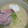 shizuとreo's cooksnap of when they made 豚肉と豆苗の生姜焼き風塩とんこつラーメン.