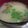 まいめる0720's cooksnap of when they made なめこたっぷり味噌汁.