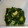 桃てろ's cooksnap of when they made モロヘイヤときゅうりとみょうがの和え物.