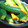cyerry's cooksnap of when they made ☆簡単☆きゅうりの中華漬け.