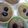 quartet's cooksnap of when they made 黒豆のケーキ.