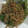 クック4JRYB3☆'s cooksnap of when they made しらすとししとうの甘辛煮.