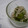 ピンクのたまご's cooksnap of when they made ☆キュウリとエノキの柚子胡椒味☆.