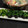 かなこれんじゃあ's cooksnap of when they made お弁当に☆ほうれん草のり巻き.