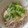 abumix's cooksnap of when they made オクラとろろ冷やし蕎麦.