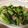 ともぱんたから's cooksnap of when they made ベーコン青梗菜のかおり炒め.
