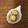 ナピト's cooksnap of when they made スプーンで栗を☆食べる時の切り方.