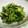 ☆みきりん★'s cooksnap of when they made ゴーヤと茗荷と青しそのおかか和え.
