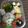 ブルージェル's cooksnap of when they made 幼稚園お弁当*トトロ*キャラ弁no. 2.