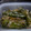 黒茶にゃんこ's cooksnap of when they made 簡単！やさしい味のピーマンのくたくた煮.