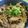りしい♪ママ's cooksnap of when they made 豚ごぼう丼.