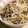 あさここなっつ's cooksnap of when they made パパッとおいしい！豚ともやし炒め.